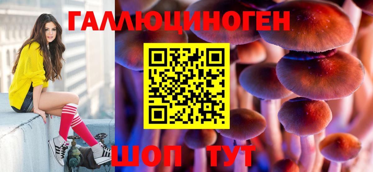 Псилоцибиновые грибы ЛСД  Псилоцибиновые грибы Magic Shrooms  Десногорск  продажа наркотиков  Вход с VPN 